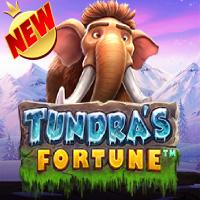 Tundras Fortune